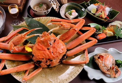 甲羅にカニビルが付着したズワイガニ（越前ガニ）