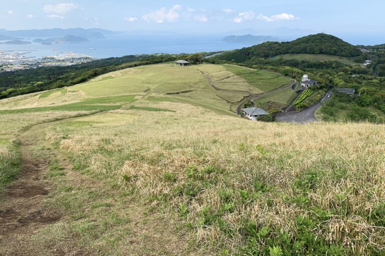 草不可避（ネット用語）