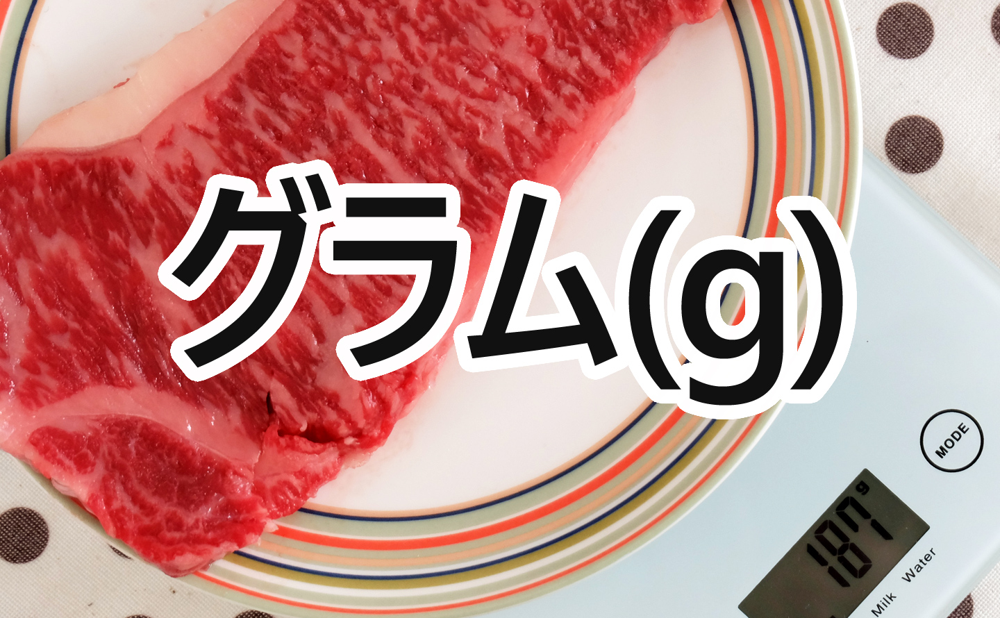 ステーキのグラム(g)ごとの写真比較とカロリー等の栄養成分まとめ