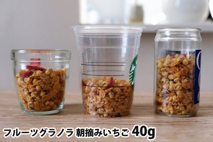フルーツグラノラ 朝摘みいちご40gを「モロゾフ」「トールサイズのカップ」「ワンカップ大関」に入れた時の目安