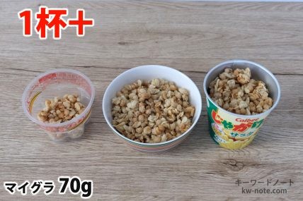 マイグラ70gを「Bigプッチンプリン」「250mlボウル」「じゃがりこ」に入れた時の目安